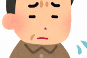 海外パパ「日本の漫画が好きな息子と仲良くしたいんだけど、どうすればいい？」