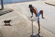 危機一髪！迫りくる犬から逃げる青年が身を守るためによじ登った物とは？