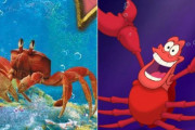 ディズニー実写版『リトルマーメイド』がまた炎上、公開中止を求める声も（海外の反応）