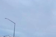 【画像】マッドフラップ