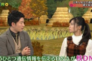 【動画あり】韓国人「遂に現代日本人の先祖が証明される！現代日本人の先祖は高句麗、百済、新羅の社会不適応、無識、犯罪者との混血」　韓国の反応