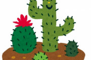 メキシコ人「君らはサボテンがどんなに大きくなるか知ってる？」人間との比較写真