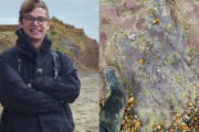【海外】23歳の青年、イギリスのビーチで127百万年前の超巨大恐竜の足跡発見しちゃった！