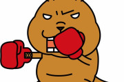 那須川天心がボクシング転向を発表　“井上尚弥とやったらクールだ”　【海外の反応】