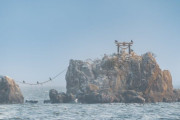 韓国人「日本にある、忘れられた神様を祀る神社がこちら…」