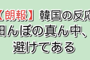 【朗報】韓国人「日本の田んぼ、真ん中だけ避けてある」