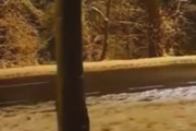 通報を受けて現場に到着した警察官達、状況を理解して取ったある行動が海外で話題に　