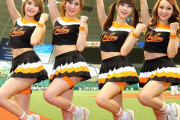韓国人の反応「大谷翔平と“密着”の台湾チアガールがもう失神状態よ」→手も触れずに失神させる男だ＾－すげ
