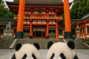 中国人「京都はほぼ欧米」　中国人「フランスの若者は日本が大好き」「パリよりも白人濃度が高い」