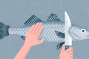 海外「これが人道的な魚のシメ方？」 日本が世界に誇る『魚の活き〆』に外国人たちからコメント続々 海外の反応