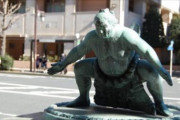海外「彼らはヒーローだ！」 境川部屋の力士20人が川に転落した女性を救助　海外の反応