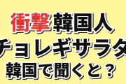 【衝撃】韓国人「日本の“チョレギサラダ”、韓国で聞いた結果」