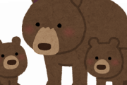 【韓国の反応】日本の登山者、素手でクマを撃退…韓国人「人類が拳でクマに勝った日ｗ」「さすが大日本帝国武術ｗｗ」