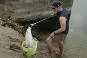 【海外】プラスチック袋禁止の効果とは？政策実施地域で海岸ゴミが半減！