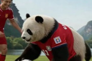サッカーキリンカップ決勝、日本がニュージーランドに2-1で勝利！　中国人「妥当な結果」「なんで中国は出てないの？」