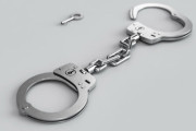 海外「なぜ中国出身の女性は一時不停止で逮捕された？」
