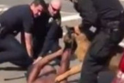 海外「【閲覧注意】手錠をかけられてうつ伏せになっている黒人を噛む警察犬」
