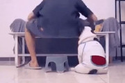 韓国人「犬のいたずら大成功」