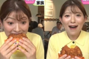 韓国人『実は菓子パンでは韓国の方がアイデア豊富らしいんですよ』 →「“揚げて売る発想”が日本メディアに驚かれた件」