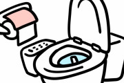 日本の奈良県のトイレは、君を歓迎してくれる！　【海外の反応】