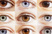 【海外の反応】最も美しい眼の色は何色だと思う？
