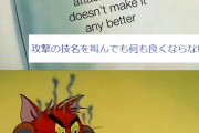 外国人「アニメキャラが技名を叫ぶのは何で？威力は同じだろ？」
