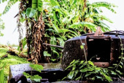 日本軍によるアメリカ人処刑～真珠湾攻撃の報復～「核兵器が搭載されていなかったのが残念」「ソ連はアメリカの爆撃機の着陸を許さなかった」海外の反応