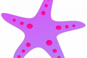 「この世には四角いヒトデもいることを知った…」生き物とは思えない姿