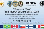 韓国人「本当に国家の恥晒しだ」世界最大「児童ポルノサイト」利用者の70%が韓国人‥　韓国の反応