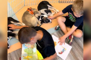 【海外】「小学校の授業で命が変わる！110匹以上の子犬を育てた感動の物語」