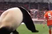 中国人「日本は本当にワールドカップで優勝する気らしい」　中国人「優勝するかもよ」「夢＋信念＋純粋さ＋執念＋ブレない意志」