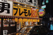 外国人「2週間の日本旅行で撮った良い写真をみんなに見せていく！」