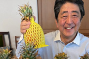 安倍前首相「今日のデザートはパイナップル。とっても美味しそう」→海外「台湾より心からの感謝を申し上げます！」「安倍さんに笑顔が戻って嬉しい」「在職中よりも幸せそうに見える」