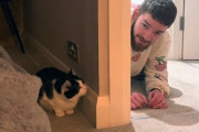 こんな動画だけ見ていたい。ヒゲメンと猫のふたりの世界はいないいないばあでキャッキャウフフ
