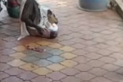 熟練の手つきでニワトリを狩るおじさんが海外で話題に