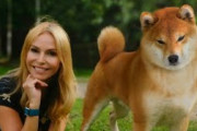 さすがに可愛すぎる。外国人が紹介する柴犬の魅力に皆がメロメロ！