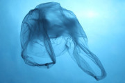 【海外】「日本の科学者が開発！数時間で海水中に溶ける無毒プラスチックの全貌」