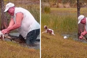 愛犬救出のために素手でワニを撃退！ワイルドで勇敢な74歳男性がアメリカで話題に！