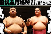 日本の小兵力士が巨漢力士相手に決めた大技に世界が騒然！←「マジでヤバい」（海外の反応）
