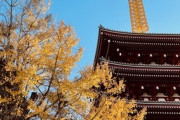 修善寺駅の周りの散歩→電車で三島駅へ！「ラブライブの電車！！」「ついに住みたい場所を見つけたよ！」海外の反応