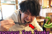 外国人「沖縄にはウミヘビを食べられるところがあるってマジ？」