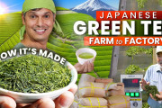 外国人「日本のお茶はただの栽培じゃなくて科学だったんだな・・・」