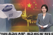 韓国人「韓国半導体、崖っぷちに…」中国が韓国追い越すと言われる理由を深掘りした結果がこちらです　韓国の反応