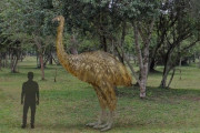 外国人「お前らの国にいる最大の生物を紹介していくスレ」