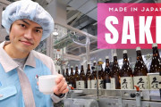 日本酒ってどうやって作られてるの？酒蔵（日本酒の醸造所）を見学してみよう！外国人「お酒は飲まないけど楽しめた。やっぱり日本のモノづくりは凄い！」