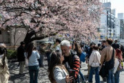 日本、3月の訪問外国人300万人突破…韓国人が最も多い＝韓国の反応