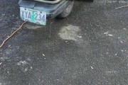 【画像】手前の細車