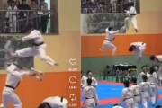 韓国人「韓国武術テコンドーが海外で『忍術』として紹介されてしまう‥」→「どうしてこうなったのか？」