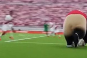 サッカーACLEグループステージ、町田が上海申花に2-0で勝利！　中国人「純粋な実力差」「意外といい試合をしてた」