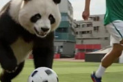 中国人「サッカー中国プロリーグに所属した日本人選手を調べてみた」　中国人「中国サッカーは遅れている」「日本人が来る理由がない」